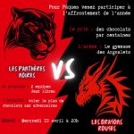 Soirée Dragons vs Panthères !